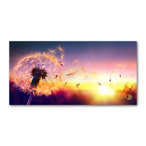 Tulup® Acrylglas - 140 x 70 cm - Bild auf Plexiglas Acrylglas Bild - Dekorative Wand für Küche & Wohnzimmer - Blumen & Pflanzen - Pusteblume - Mehrfarbig