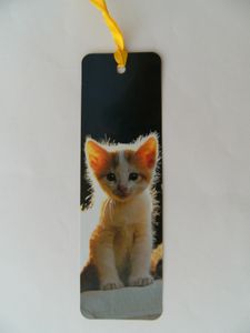 Lesezeichen Katzenbaby, 14 x 4 cm, Buchzeichen Bookmark Bücher Buch Tier Kätzchen