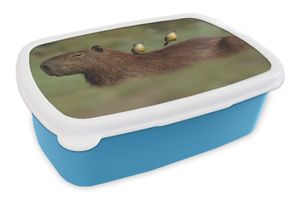 MuchoWow® Lunchbox Brotzeit Brotdose 17x11 cm Zwei Vögel sitzen auf einem Capybara Kinder Brotzeitdose - Lunch - Kunststoff  - Brotbüchse - Sandwichbox - Lunchbox für Kinder