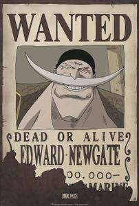 Poster One Piece Wanted Edward Newgate 35x52cm