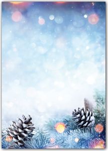 100 Blatt Motivpapier Briefpapier (Weihnachten-5251, DIN A4) wunderschöne Tannzweige im Schnee bei Sonnenschein mit Zapfen