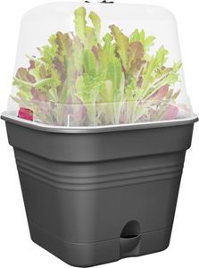 Blumentopf Elho 34,6 x 34,6 x 29,2 cm Kunststoff