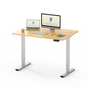 FLEXISPOT Schreibtisch Basic Plus Elektrisch Höhenverstellbarer Schreibtisch EF1