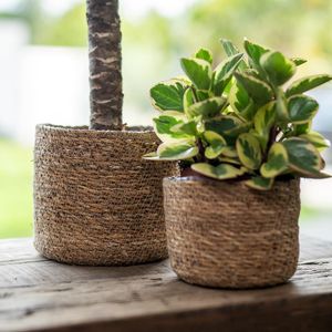 Seegras Korb rund natur Ø 21 x 18cm mit Einsatz Blumentopf geflochten Aufbewahrungskorb Über-Topf Blumenkorb