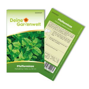 Pfefferminze Mehrjährig Samen - Mentha piperita - Pfefferminzesamen - Kräutersamen - Saatgut für 100 Pflanzen