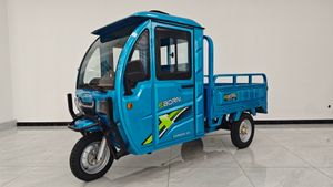 Eborn Cargo Cat 3-F V2 (45 km/h) - Blau