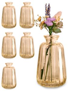 Kleine Glasvasen für Tischdeko - 6er Set - Vintage Charme - Runde Minivasen - Spülmaschinenfest - Perfekt für Hochzeit Tischdeko - Gold