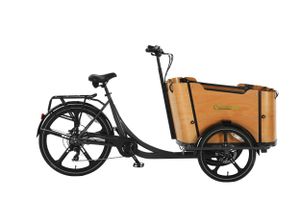 SachsenRAD T2 Neo Vintage E-Lastenrad – Stylisches Lastenfahrrad mit Flexbox, LCD-Display & StVZO-Zulassung – Perfekt für Familie & Alltag