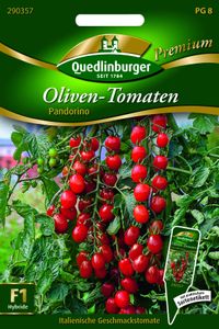 Quedlinburger Saatgut - Tomaten Oliven Pandorino - Samen - 290357