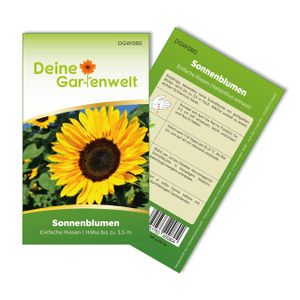 Sonnenblumen Einfache Riesen Samen - Helianthus annuus - Sonnenblumensamen - Blumensamen - Saatgut für 20 Pflanzen