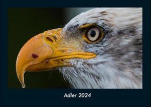 Adler 2024 Fotokalender DIN A4