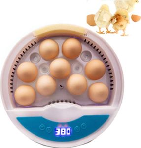 Plně automatický inkubátor 9-ti vaječný inkubátor Brooder Inkubátor s regulací teploty pro drůbež kuřata kachny křepelky