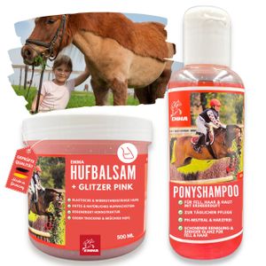 Pferdepflege Set I Pferdeshampoo Shampoo Fell Mähne & Glitzer Huffett für Pferde & Pony in Pin