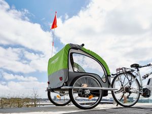 Fischer Fahrradanhänger "Komfort" mit Federung für 1-2 Kinder, 86388