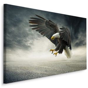 Fabelhafte Canvas LEINWAND BILDER 30x20 cm XXL Kunstdruck Natur Adler Gewitter