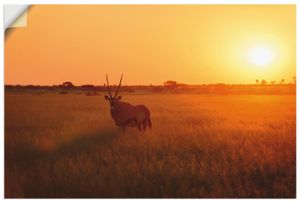 ARTland Wandbild, selbstklebend Oryxantilope im Sonnenaufgang Größe: 30x20 cm