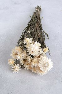 Couronne - Bundeltje gedroogde bloemen 'Helichrysum' (White)