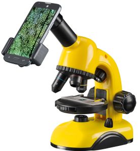 sada mikroskopov 19 cm 40x-800x žltá