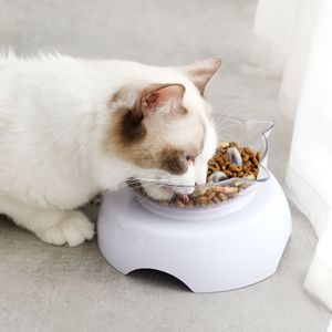 Anti-Schling-Napf für Hunde und Katzen, Langsam Fütterung Hundenapf Katzennapf, Langsam Fressen Schüssel,Interaktiver Slow Feeder Futternapf, Reduziert Verschlucken und Überessen