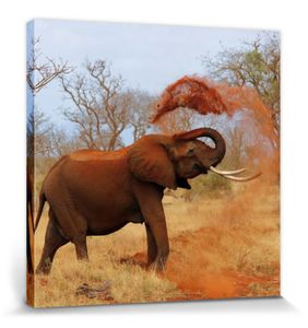Elefanten Poster Leinwandbild Auf Keilrahmen - Afrikanischer Elefant Nimmt Eine Sanddusche (70 x 70 cm)