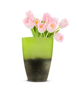 Blumenvase Oxi Tischvase Glasvase Dekovase Vase Blumentopf  Pflanztopf (Grün)