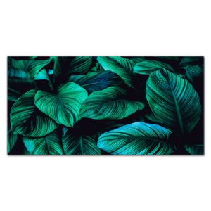 Coloray Skleněné obrázky Dekorativní sklo Obrázky pro interiéry 100x50cm Nástěnné umění Sklo s potiskem - Rostliny květin