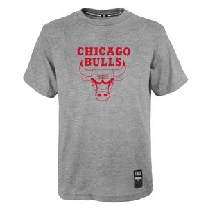 Outerstuff - NBA Chicago Bulls Zach LaVine By The Numbers T-Shirt - Grau : Grau S Farbe: Grau Größe: S