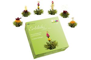 CREANO tea box blooming tea zielona herbata 6 pack