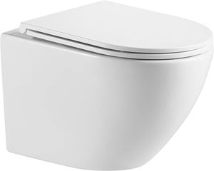 Hänge WC Wand WC Spülrandlos Deckel und Sitz abnehmbar Toilette Softclose Nano