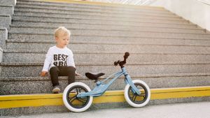 Lionelo Bart Laufrad Magnesiumlegierung Kinderlaufrad Roller Kinder Fahrrad TOP Rosa