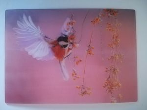 3 D Ansichtskarte Buntmeise, Postkarte Wackelkarte Hologrammkarte, Tier Vogel Vögel