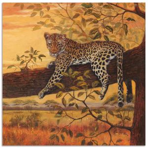 ARTland Wandbild Alu für Innen & Outdoor Ruhender Leopard Größe: 70x70 cm