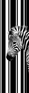 Zebras Selbstklebende Fototapete Poster-Tapete - Barcode Zebra (250 x 79 cm)