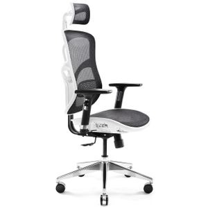Kancelářská ergonomická židle Diablo V-Basic Executive Chair Mesh Nastavitelné područky Výškově nastavitelná, Barva: Bílo-černá