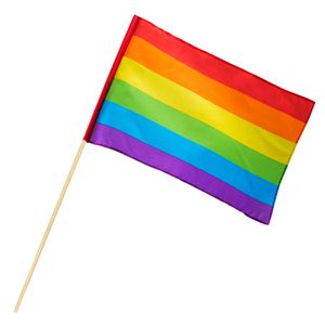 Regenbogen Flagge Party-Deko bunt 30x45cm