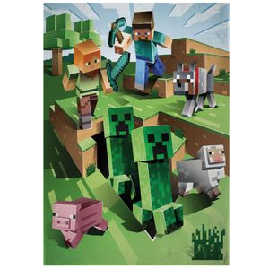 Minecraft Fleecedecke Kuscheldecke 100 x 150 CM