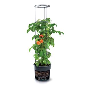 Okrúhly kvetináč na paradajky s pomôckou na šplhanie - 153 x 29 cm - Pomôcka na pestovanie s integrovaným podstavcom na zavlažovanie - Veža na rastliny pre šplhajúce sa rastliny Výšku možno 4-krát nastaviť