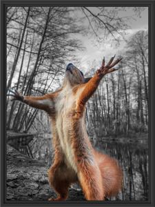 Lustiges Eichhörnchen steht im Wald B&W Detail im Schattenfugen Bilderrahmen / Format: 80x60 im Schattenfugen-Bilderrahmen / Kunstdruck auf hochwertigem Galeriekarton / hochwertige Leinwandbild Alternative