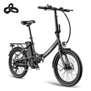 F20 Light Pro 20 zoll E-bike 250W Citybike 36V/16,75Ah LCD Faltbares und Kompaktes Ebike-Schwarz