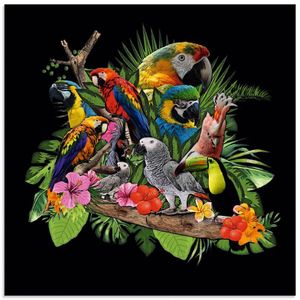ARTland Glasbild Papageien Graupapagei Kakadu Dschungel Größe: 40x40 cm