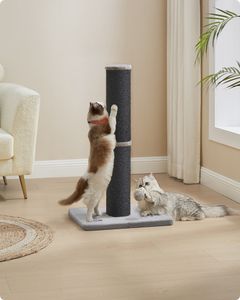 Feandrea Kratzbaum, Kratzstamm für mittelgroße und große Katzen, mit Plüschball