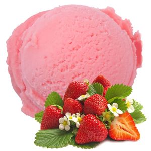Erdbeer Geschmack Eispulver Softeispulver 1:3 - 1 kg