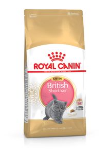 Royal Canin Feline Kitten British Shorthair - 10 kg