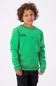 JR PEEK SWEATER, Green, 176