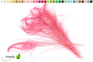 10 echte Pfauenfedern ca. 25-30cm, Farbauswahl:rosa 148