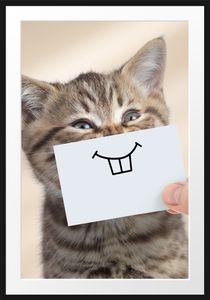 Lustige Katze mit Lächeln auf PapierBilderrahmen mit Galerie-Passepartout / Format: 100x70cm / gerahmt / hochwertige Leinwandbild Alternative