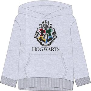 Harry Potter Sweatshirt "Hogwarts" Schriftzug und Wappen 134/140