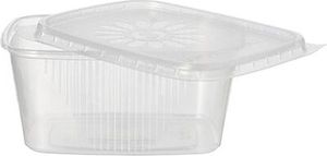 50 tradingbay24 Verpackungsbecher mit Deckel, PP eckig 250 ml 5,1 cm x 8,69 cm x 11,4 cm transparent tbU95074
