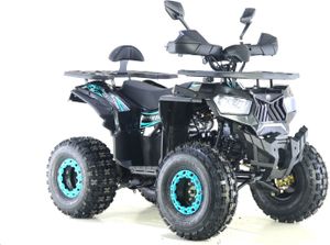125ccm Quad ATV Kinder Pitbike 4 Takt Motor Quad ATV 8 Zoll KXD ATV 002 Türkis
