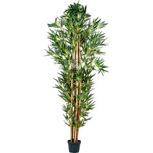 PLANTASIA Kunstpflanze Bambus Strauch 190 cm